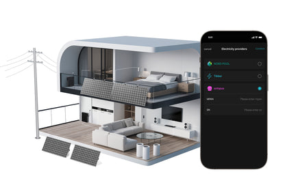 De stekker batterij 5kWh
